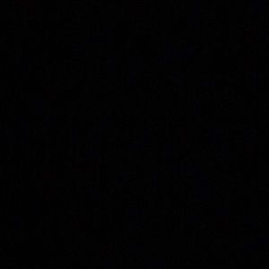 Meet your Posher, Marley